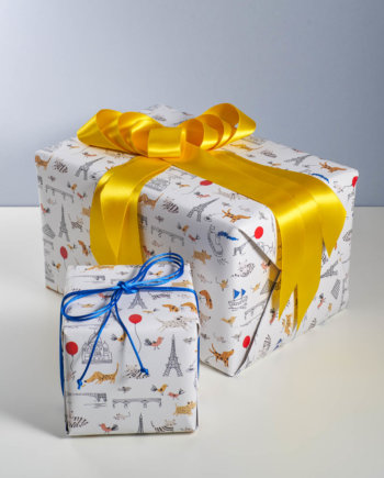 Paris, mon Amour Gift Wrap