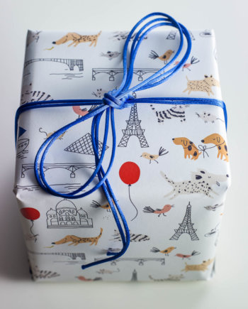 Paris, mon Amour Gift Wrap