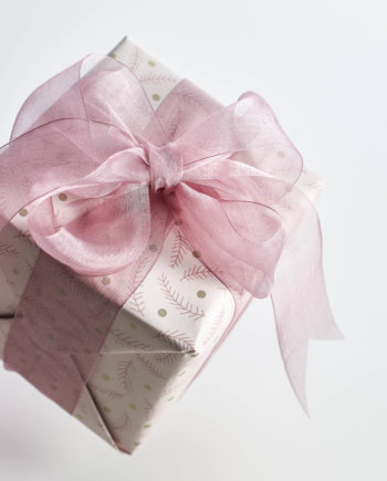 The unbearable lightness of the feather Gift Wrap