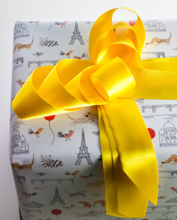 Yellow Satin Ribbon n°220 (L)