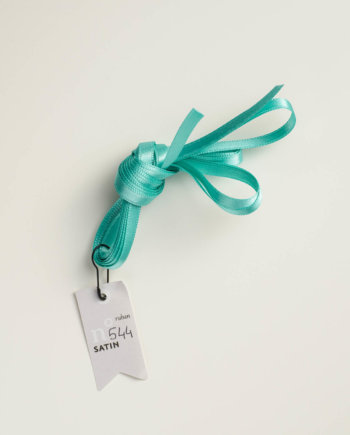 Light Green Satin Ribbon n°544 (XS)