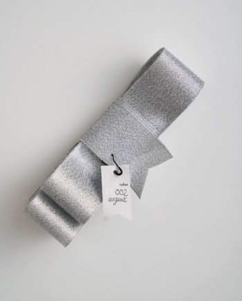 Silver Moon Shine Sheen Ribbon n°02 (L)