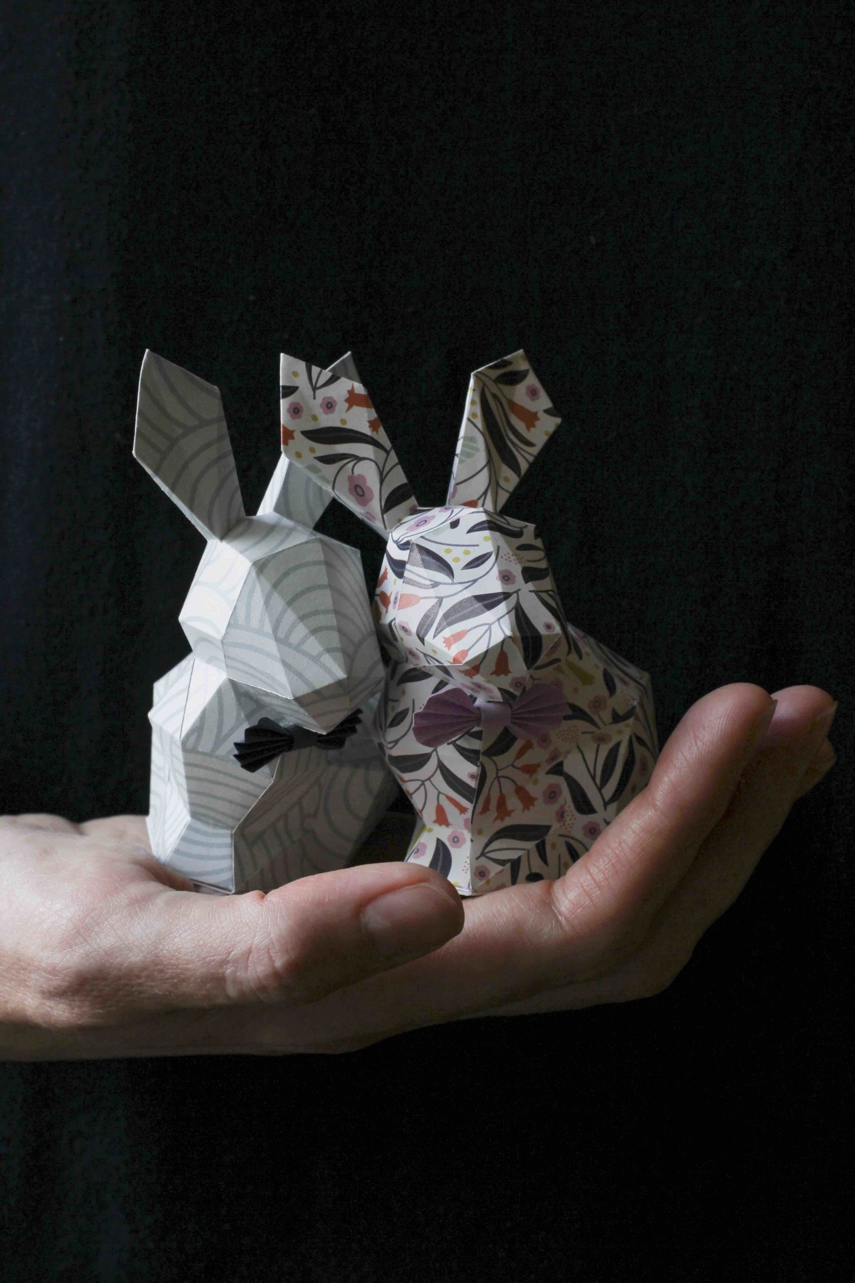 Interview IMPRESSION ORIGINALE Surgeon Paper Duo lapin