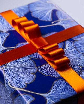 Orange Satin Ribbon n°219 (M)