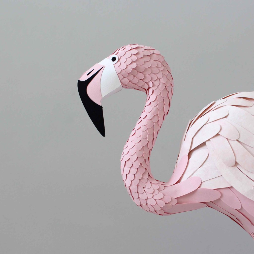 Interview_SarahMatthews_Flamingo_IMPRESSIONORIGINALE