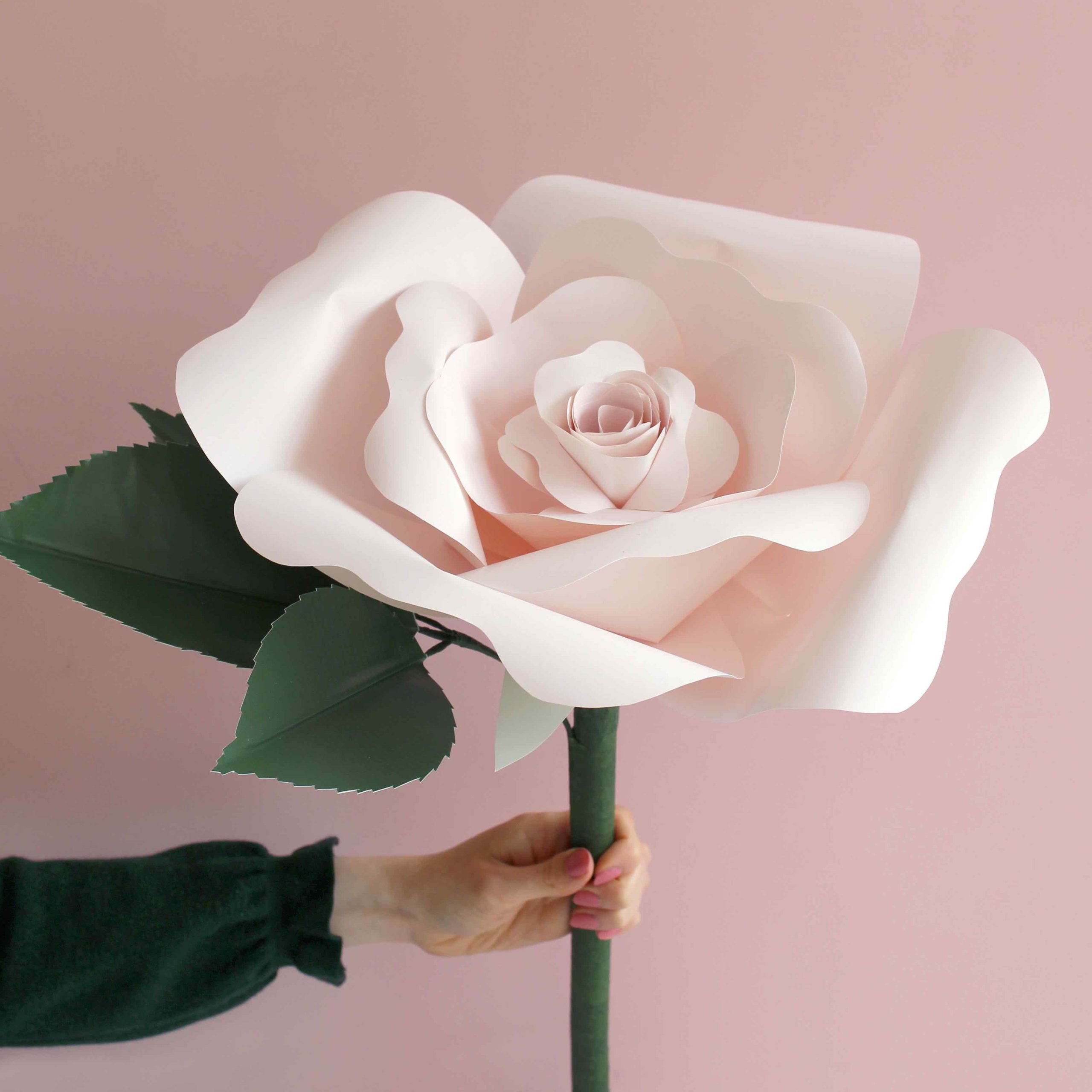 Interview_SarahMatthews_Giant Rose_IMPRESSIONORIGINALE