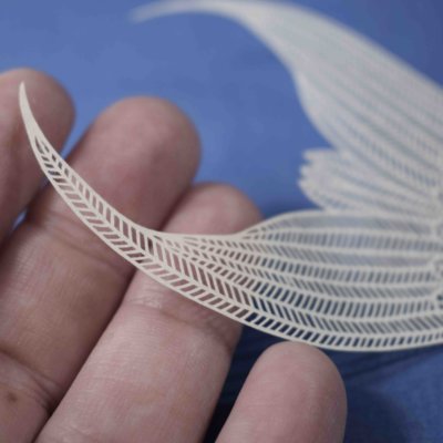 Impression_Originale_itw_Pippa_bird tail detail Impression_Originale_itw_Pippa_bird tail detail