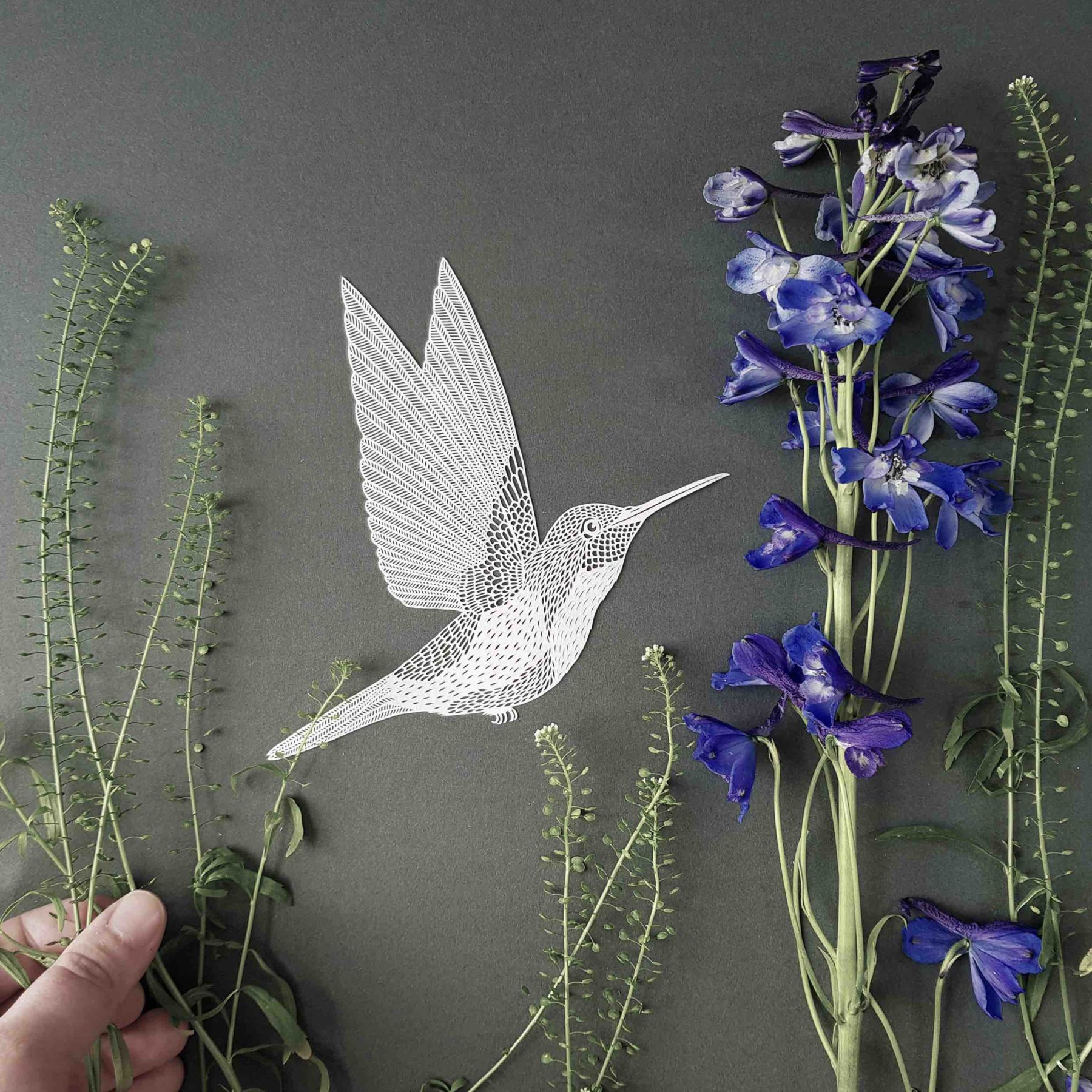 Impression_Originale_itw_Pippa_hummingbird photo prep