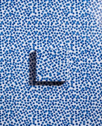 Feast of Blueberries Gift Wrap