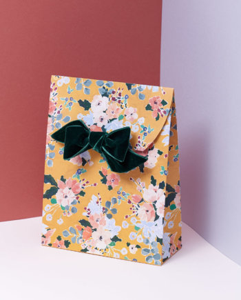 Look Behind the frame Gift Bag