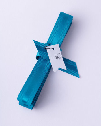 Teal Tuxedo Ribbon n°269 (M)