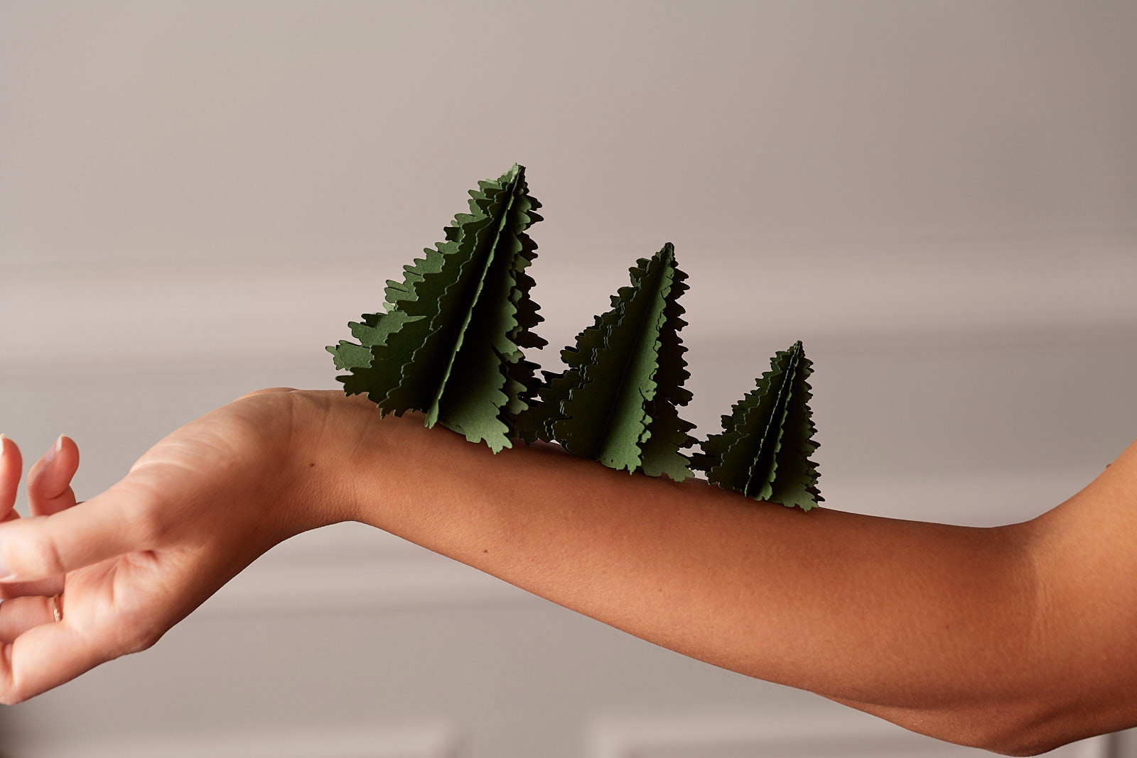 IMPRESSION ORIGINALE forêt de sapin en paper art présentés sur un bras