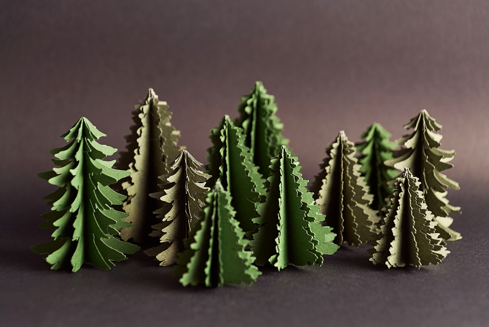 IMPRESSION ORIGINALE forêt de sapin en paper art sur fond noir