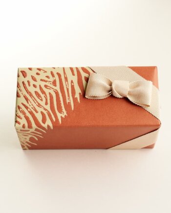 Deep Dive - coral - Gift Wrap