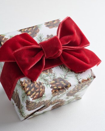 Farandole of Pine Cones Gift Wrap