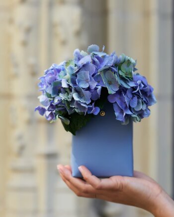 Pochette Cadeau Cuir Bleu Glacier (S)