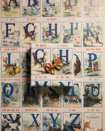 ABC History Gift Wrap