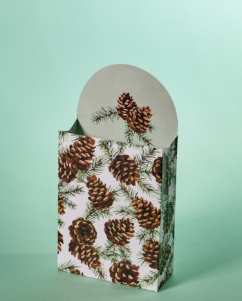 Farandole of Pine Cones Gift Bag (S)