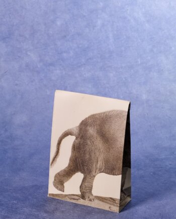 Ménagerie - Eléphants Pochette Cadeau (S)
