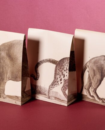 By Design the Ménagerie