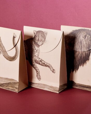 By Design the Ménagerie