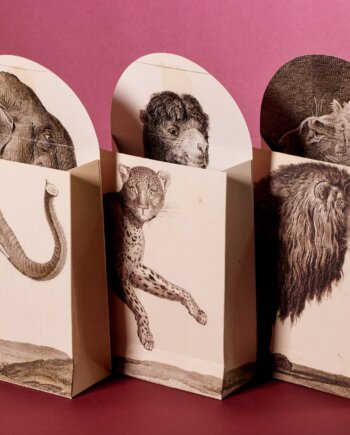 By Design the Ménagerie